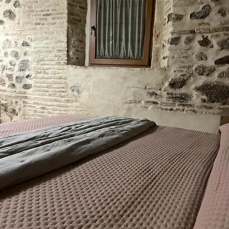 La Casa De Vigas Verdes *
